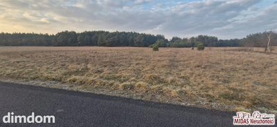Działki w Dębniakach (gm Kowal) !!!