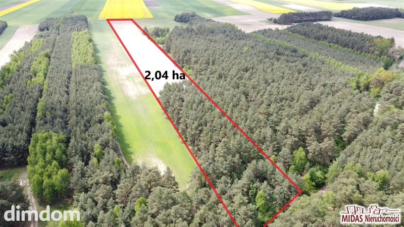 Działka inwestycyjna - dd_2ce287ac_zs_MDS-GS-4566_1.jpg