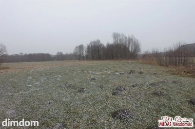 Atrakcyjna lokalizacja - dwa jeziora (Czarne i Orłowskie)!!!