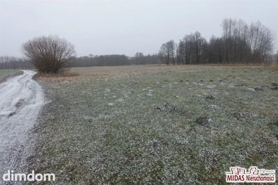 Atrakcyjna lokalizacja - dwa jeziora (Czarne i Orłowskie)!!! - 4