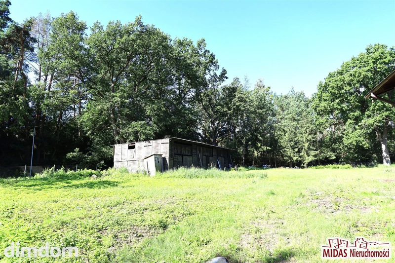 Działka budowlana  w otoczeniu lasu koło Torunia - dd_2ce287ac_zs_MDI-GS-5444_1.jpg