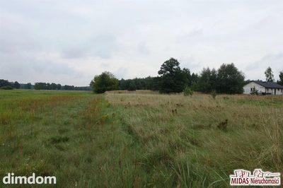 Działka w Gołaszewie !!! - 2