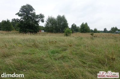 Działka w Gołaszewie !!! - 3
