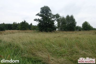 Działka w Gołaszewie !!! - 5