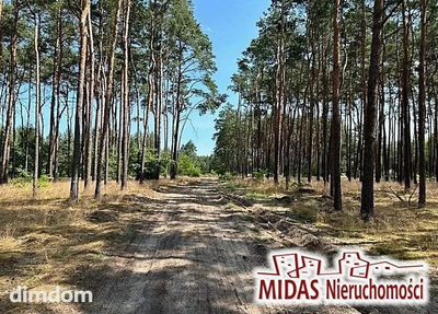 Działka budowlana 1204m2 w Michelinie! - 3