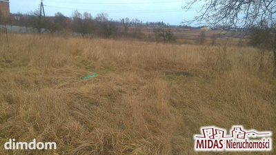 Dzialka 6417m2 w Brześciu Kuj. - 4