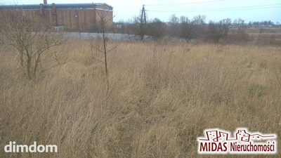 Dzialka 6417m2 w Brześciu Kuj. - 5