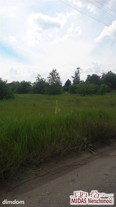 DZIAŁKI INWESTYCYJNE WE WŁOCŁAWKU - 5