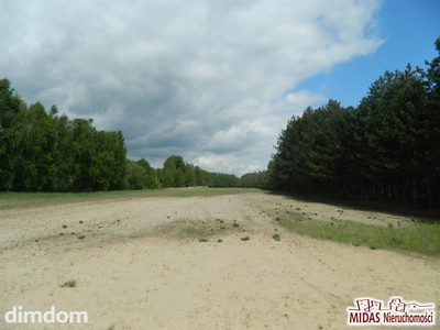 DZIAŁKA W GOŁASZEWIE - 3,20 ha!!! - 4