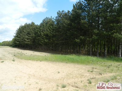 DZIAŁKA W GOŁASZEWIE - 3,20 ha!!! - 5