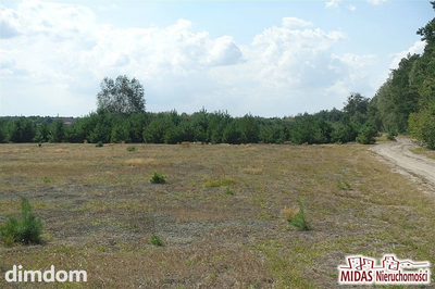 Działka 1494m2,okolice Włocławka tylko teraz 60000 - 5