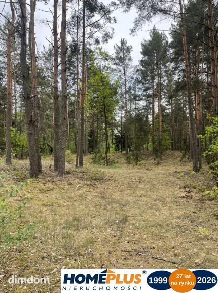 Działka w lesie 2064 m² - letniskowa i całoroczna - 114081140.jpg