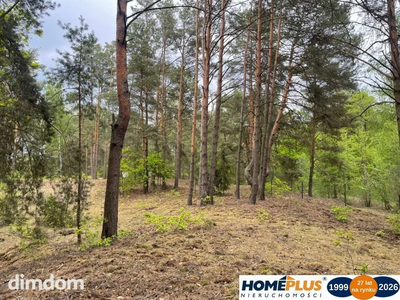 Działka w lesie 2064 m² - letniskowa i całoroczna - 2