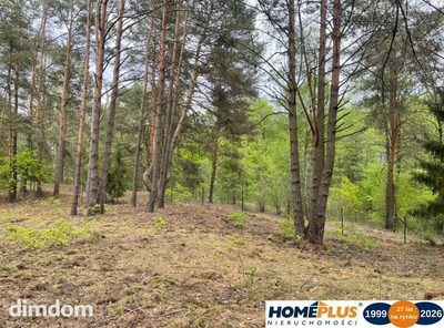 Działka w lesie 2064 m² - letniskowa i całoroczna - 4