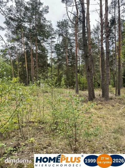 Działka w lesie 2064 m² - letniskowa i całoroczna - 5