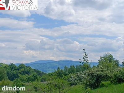 Widok na góry ,  piękny drzewostan. Przy lesie !