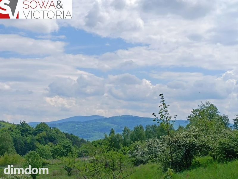Widok na góry ,  piękny drzewostan. Przy lesie ! - 105868321.jpg