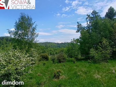 Widok na góry ,  piękny drzewostan. Przy lesie ! - 2