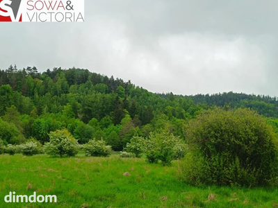 Widok na góry ,  piękny drzewostan. Przy lesie ! - 3