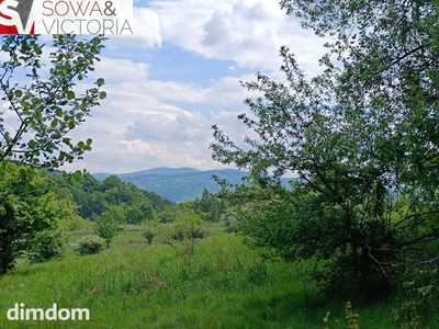 Widok na góry ,  piękny drzewostan. Przy lesie ! - 4