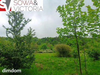 Widok na góry ,  piękny drzewostan. Przy lesie ! - 5