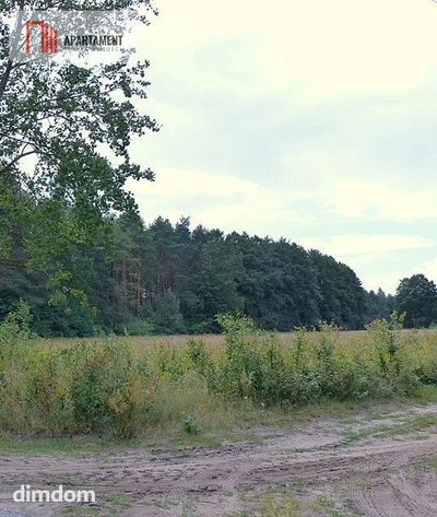 Działka budowlana w Ciche - 3