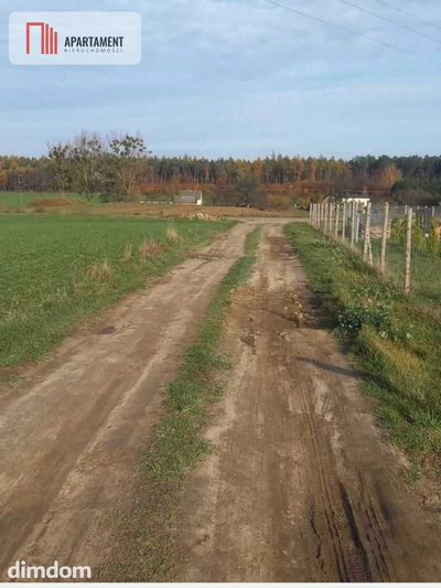 Działka budowlana w Ciche - 5
