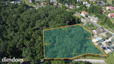 Działka z lasem Świdnica cena 60,48 zł/m2 - 5