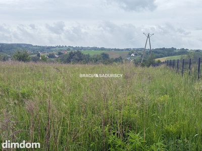 33 ary, Michałowice-Wilczkowice - 5