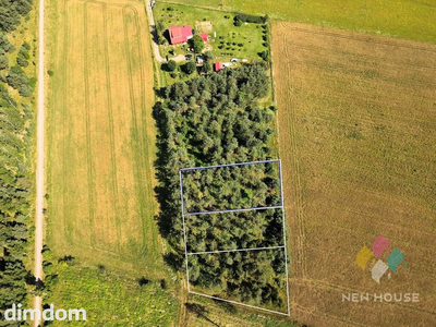 Zadrzewiona działka z WZ pod dom, jezioro, las - 5
