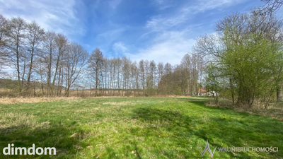 2000m2 ciszy i spokoju/własna lina brzegowa - 3