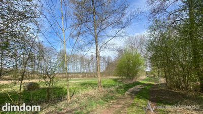 2000m2 ciszy i spokoju/własna lina brzegowa - 2