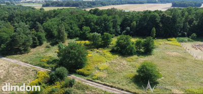 Działki na sprzedaż - Grodzanów - 4