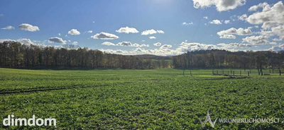 Działki budowlane 916m2 do 2615m2|mpzp|kanalizacja