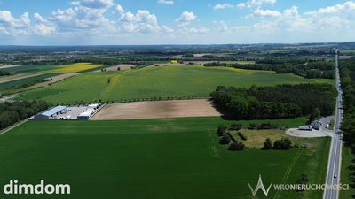 Działka inwestycyjna 1,5 ha z dostępem do mediów - 2