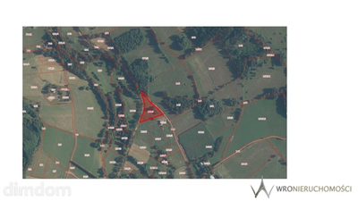 Dworki, gm. Nowa Ruda, działka z WZ, 5000m2