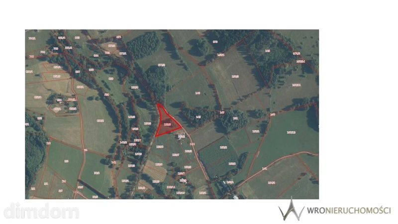 Dworki, gm. Nowa Ruda, działka z WZ, 5000m2 - 110418988.jpg