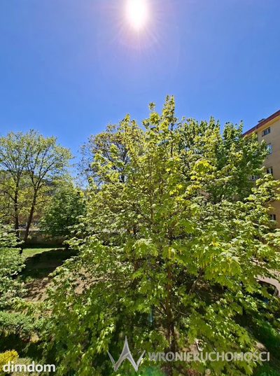 42 m² w sercu miasta – wyjątkowa okazja - 3