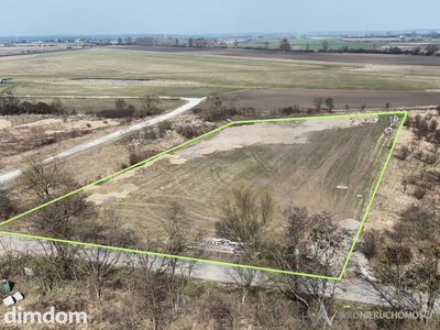 Nowoczesny kompleks hal magazynowych | Szymanów - 5