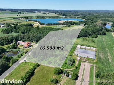 Działka - 1,65 ha - gmina Dobroszyce