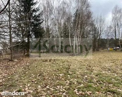 Do sprzedania działka budowlana o powierzchni 3952 m2 w Ruścu koło Nadarzyna. - 2