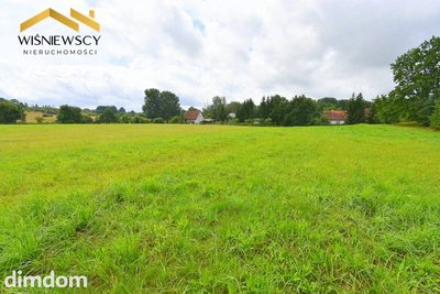 Działka 2,56ha z wydanymi WZ, niedaleko jeziora - 5
