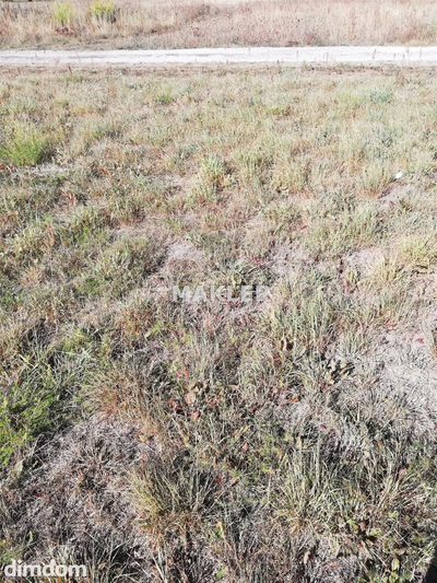Działka bud. 952m² -Trakowo Dolne-blisko las - 3