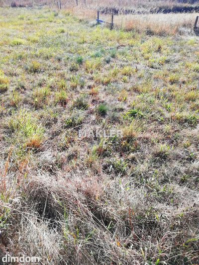 Działka bud. 952m² -Trakowo Dolne-blisko las - 4