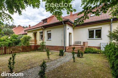 m. Depot gm. Zbąszynek - szeregowiec posród lasów.