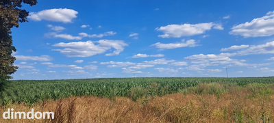Miłków Kolonia. Piękna działka budowlana!