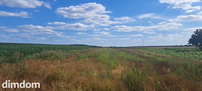 Miłków Kolonia. Piękna działka budowlana! - 2