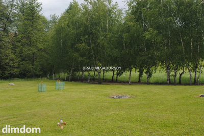 Gospodarstwo około 2 ha w Łazanach gm.Biskupice - 5