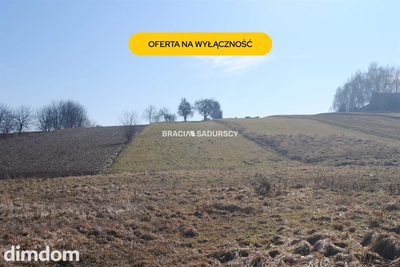 Duża działka budowlano-rolna w Bodzanowie