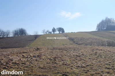 Duża działka budowlano-rolna w Bodzanowie - 3